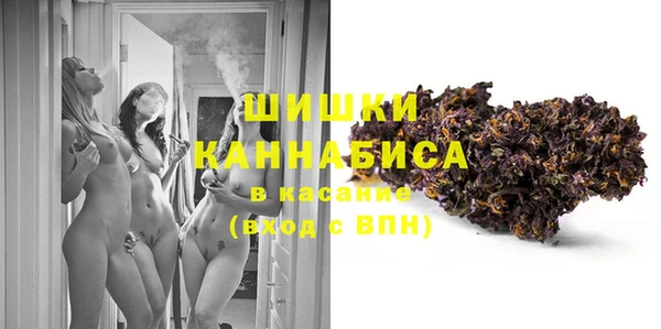 ГАЛЛЮЦИНОГЕННЫЕ ГРИБЫ Бронницы