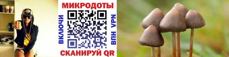 где продают   Коммунар  Псилоцибиновые грибы прущие грибы 